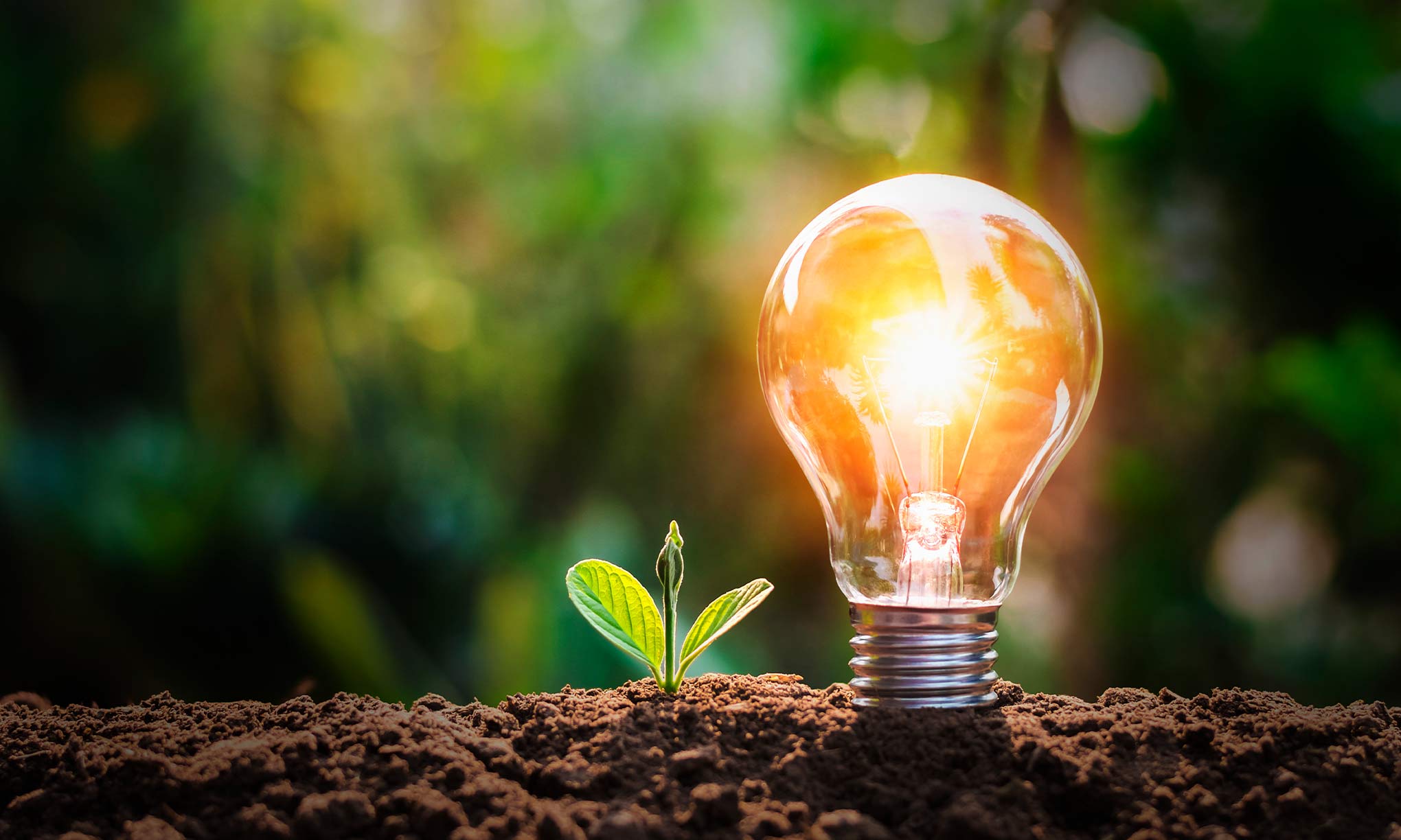 Casi 2.000 millones de dólares por energía en lo que va del año