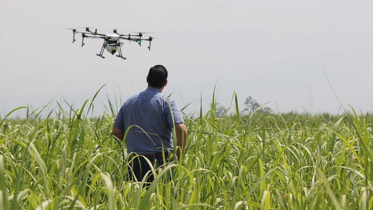 Se viene un encuentro virtual para conocer las dinámicas agropecuarias en Estados Unidos