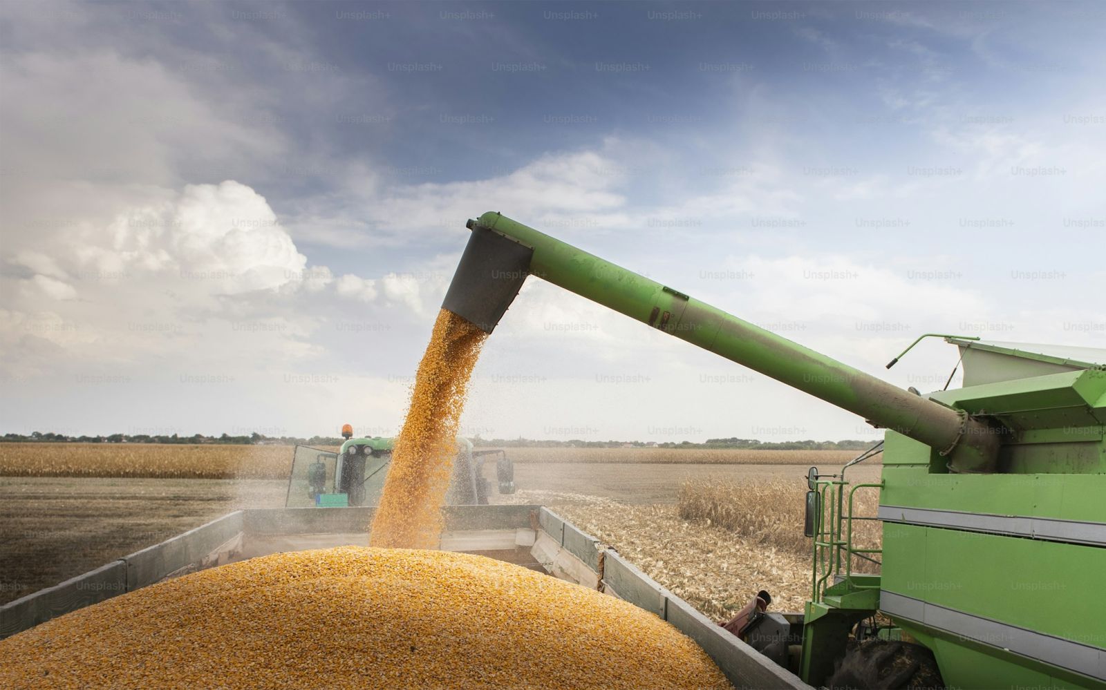 Se esperan cosechas récord de la mano del financiamiento al sector agropecuario