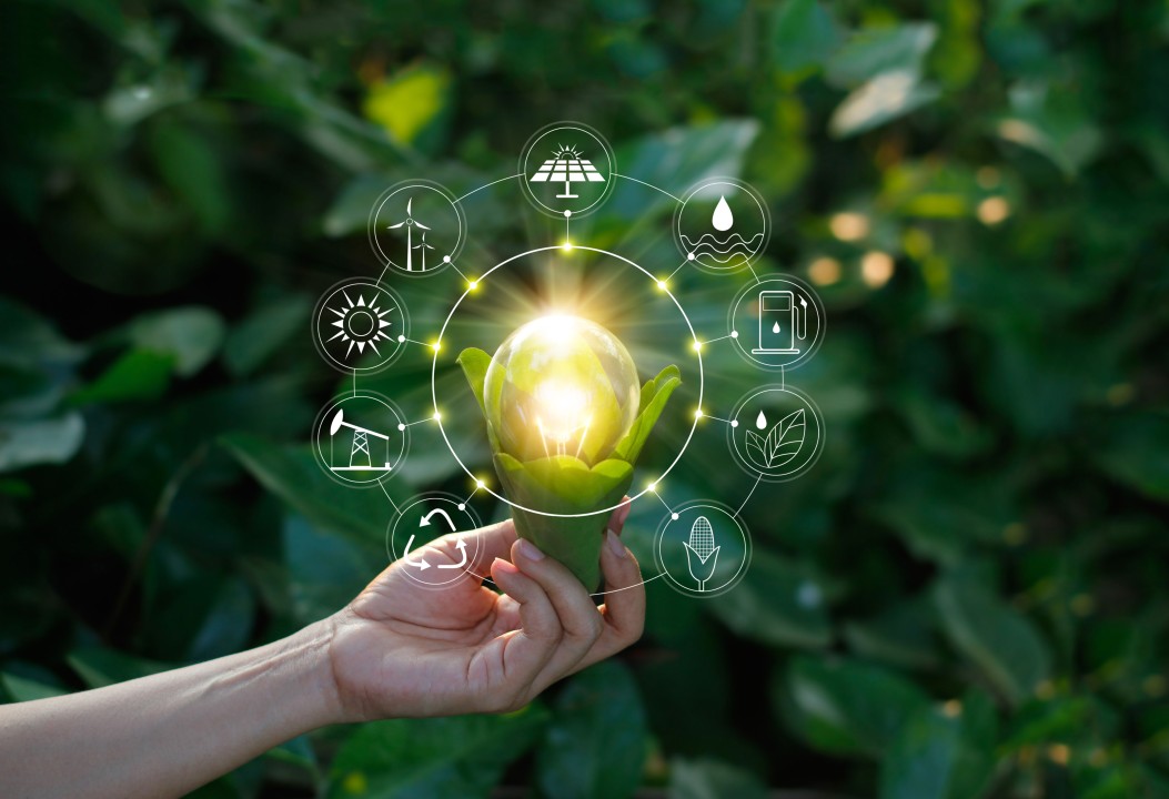 Acciones que promueven la sustentabilidad como valor para la competitividad