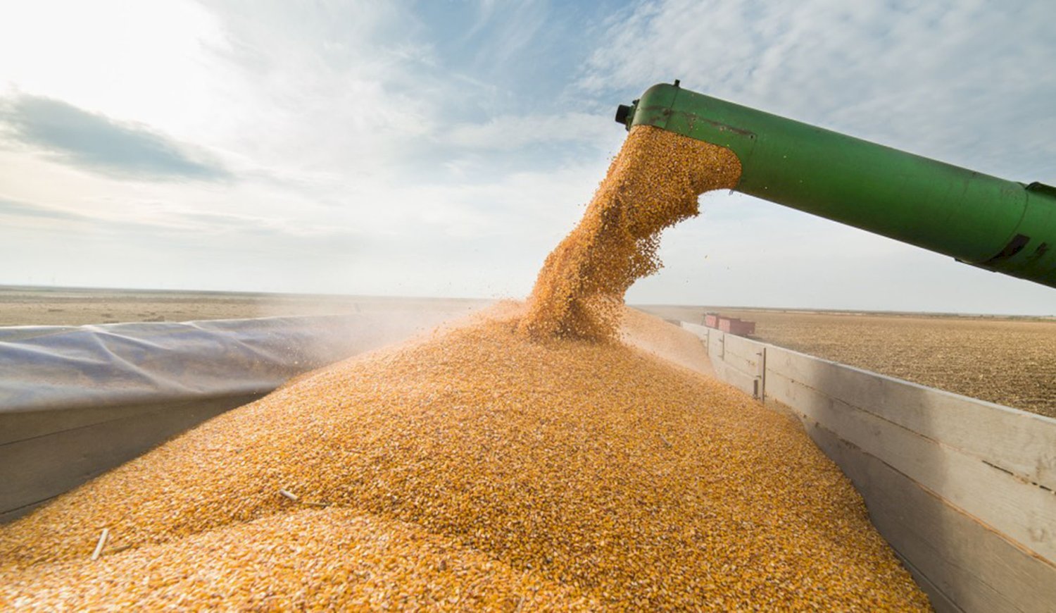 Mensaje del campo al Gobierno: las retenciones reducen niveles de producción