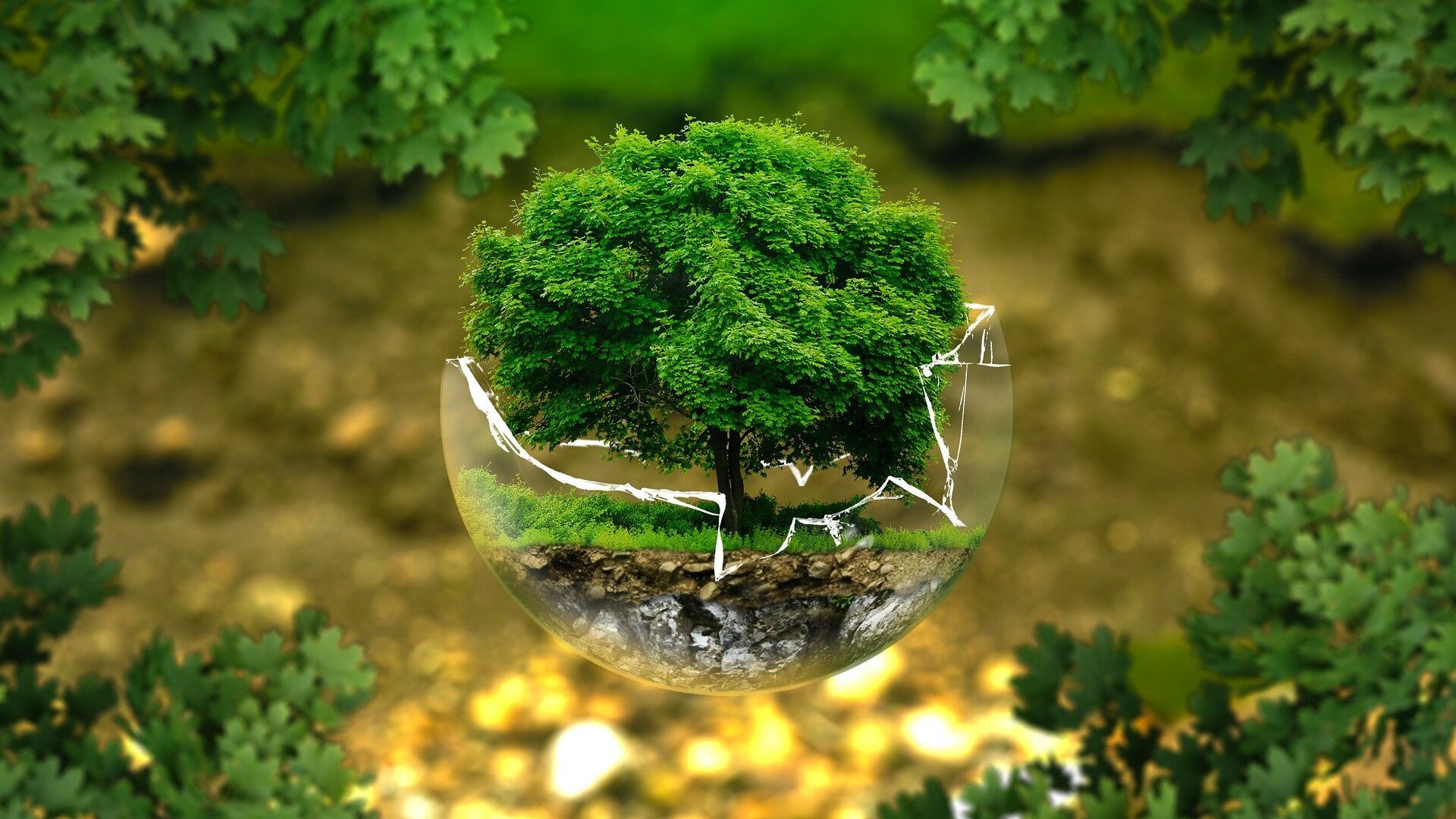 La naturaleza, agredida, reacciona…