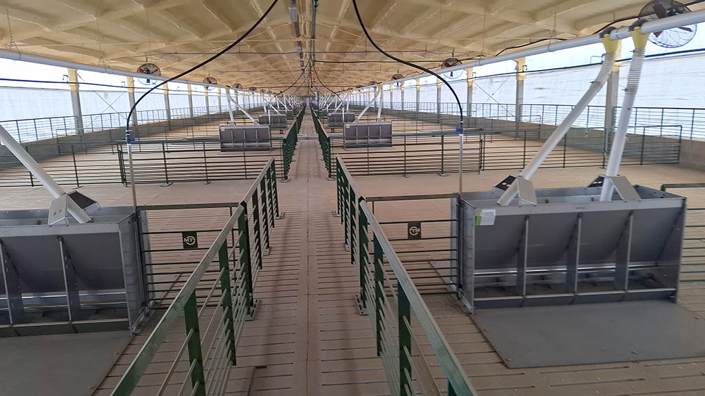 En Arroyo Algodón abrió la granja porcina más grande del centro de Córdoba