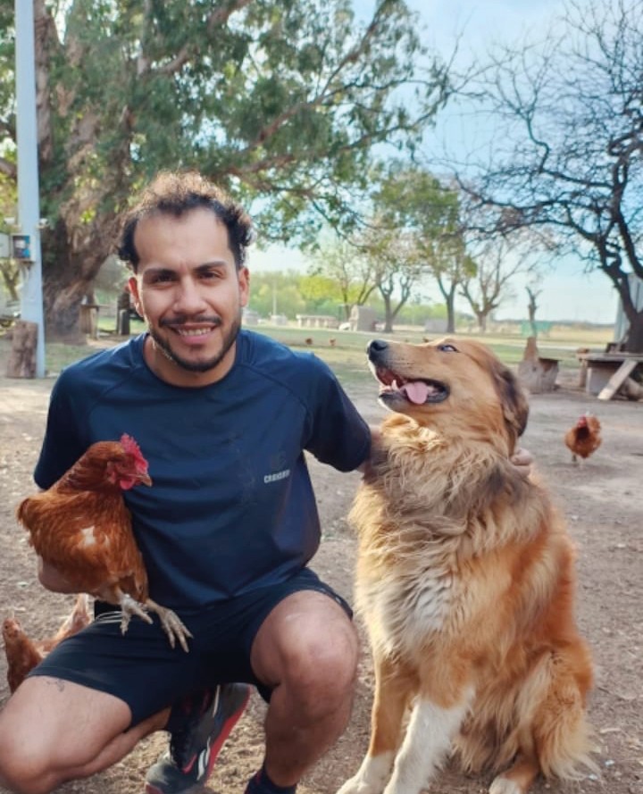 Gallinas bien tratadas