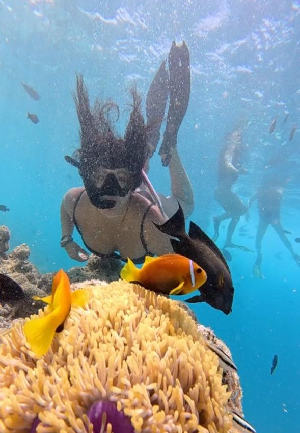 Dispuestos a dejarse sorprender