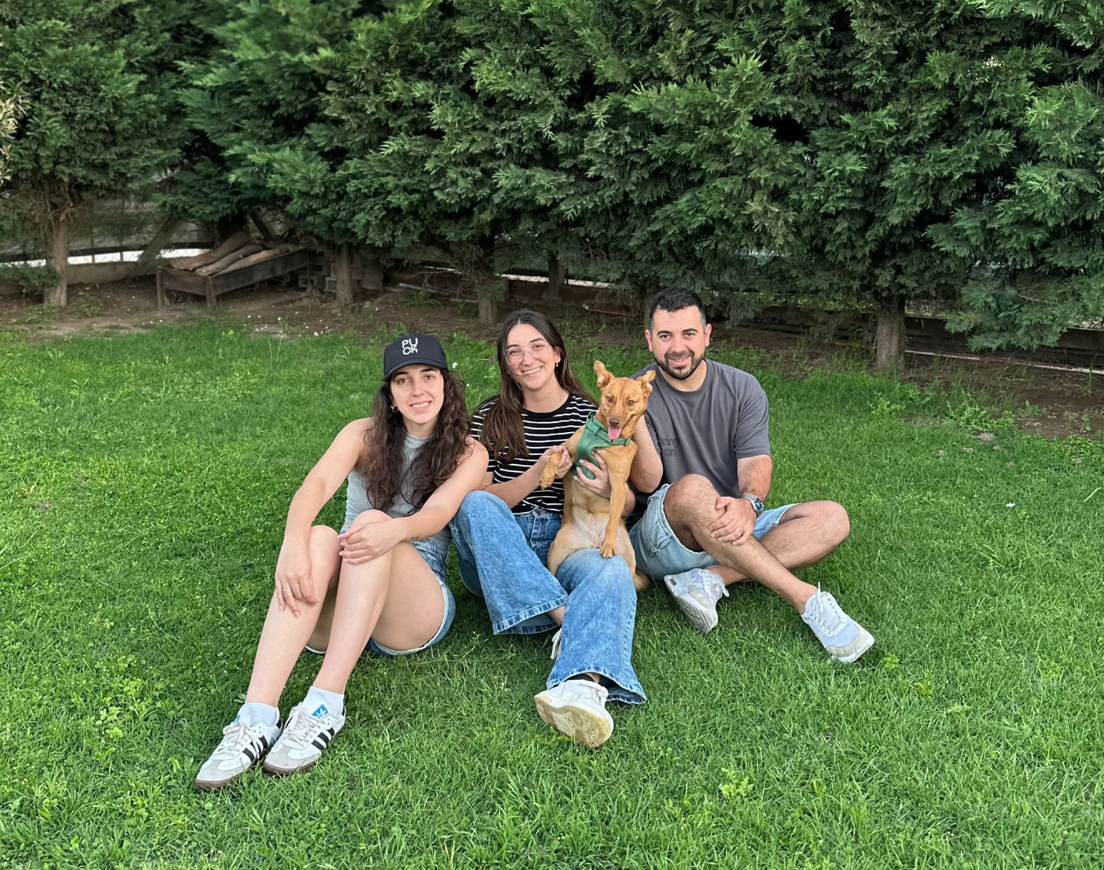 Las mascotas de parabienes