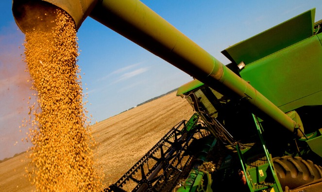 El BCRA eliminó una penalización al acopio de soja y trigo y abarató créditos a empresas agrícolas