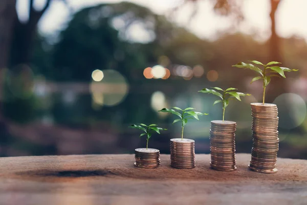 Comercios Sustentables