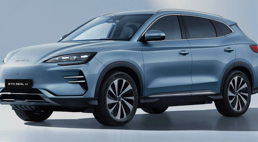 Fuerte crecimiento del patentamiento de autos eléctricos: ¿Cuáles son los modelos más elegidos?