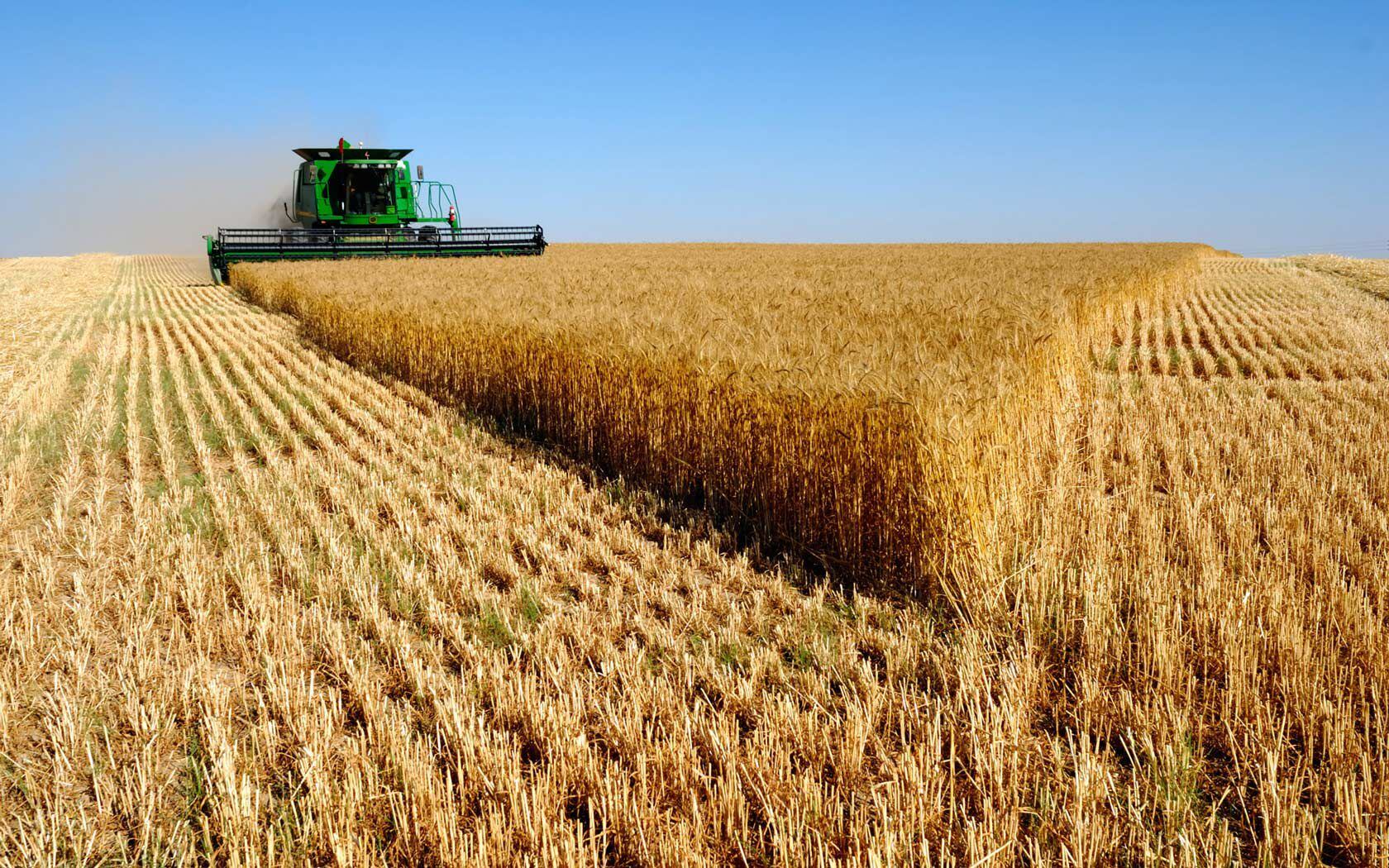 Crecieron 18% las exportaciones agroindustriales y marcaron un récord histórico