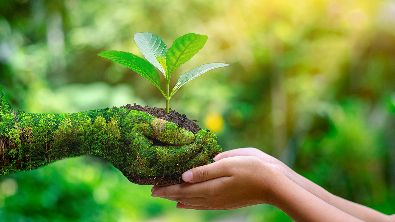 Los negocios y la economía en el Día Mundial del Ambiente