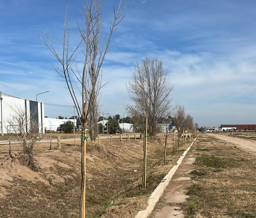 Plantan más de 120 árboles en el Parque Industrial