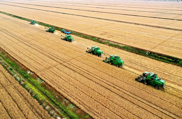 Maquinaria agrícola: un segundo trimestre con más producción, pero menos ingresos