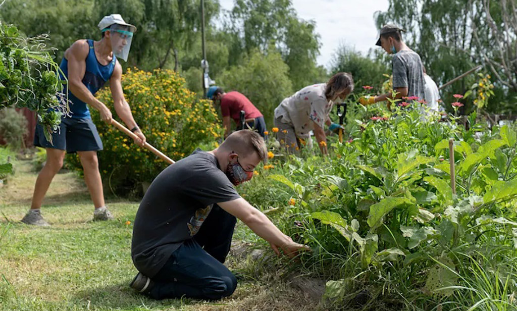 Forestación, hidroponía y jardinería terapéutica en la MECA 26