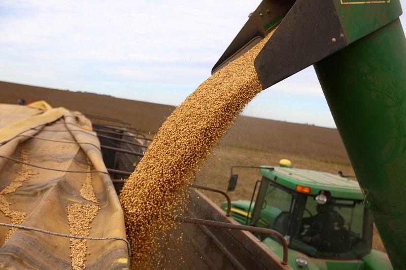 La actividad agropecuaria creció 12% en julio