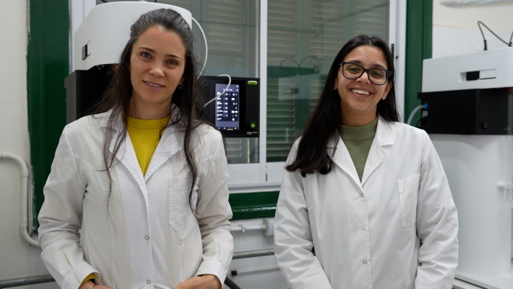 Córdoba avanza en el desarrollo de miel en polvo 
