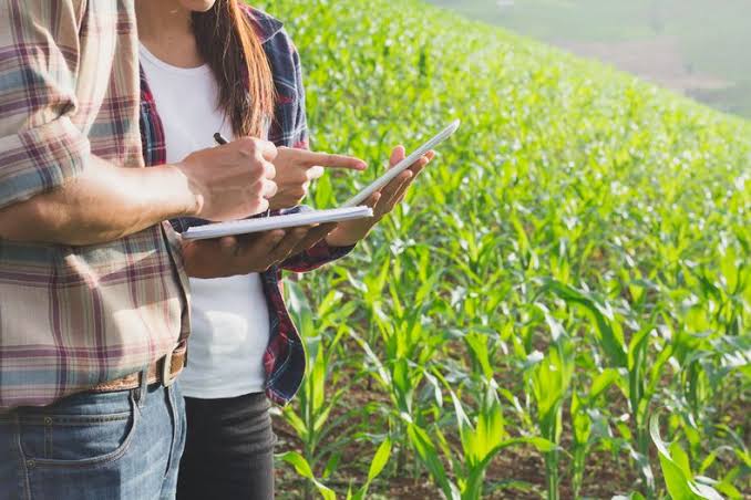 Planificación impositiva en el agro