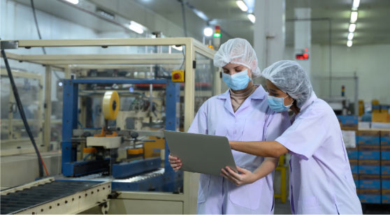 Del campo a la Industria
