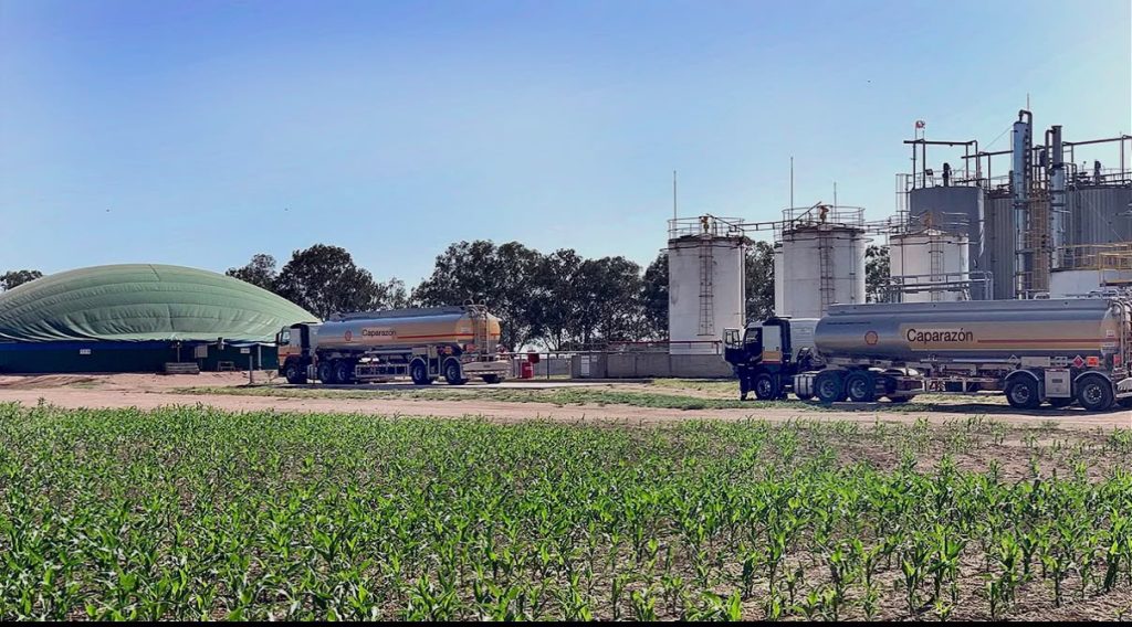 Biocombustibles: Provincia asegura que una ley traerá “más inversión, producción y empleo”