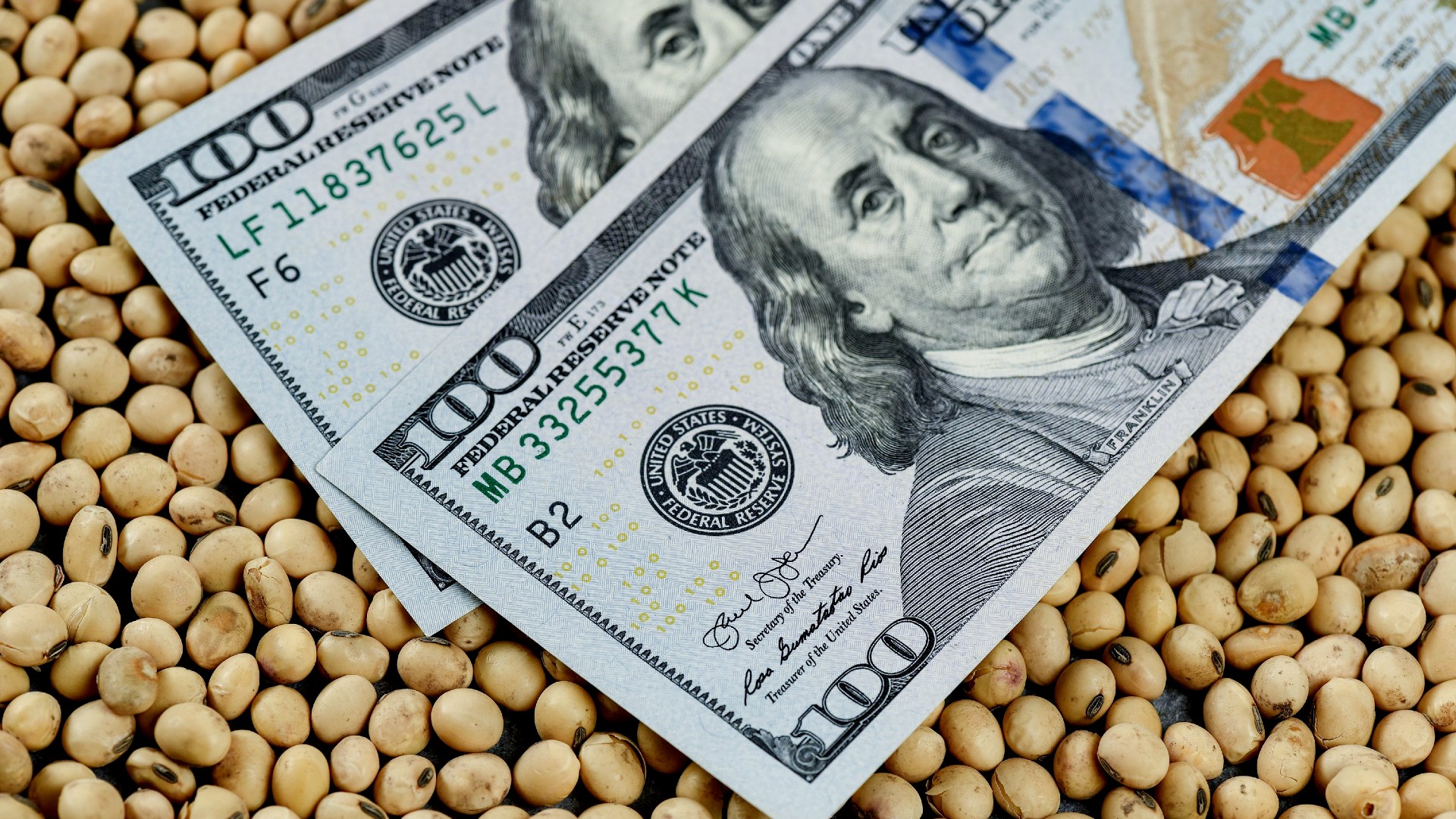 El dólar “Paso”