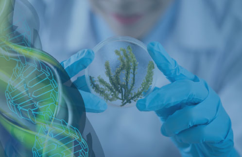 Biotecnología: las nuevas tendencias se expondrán en Córdoba