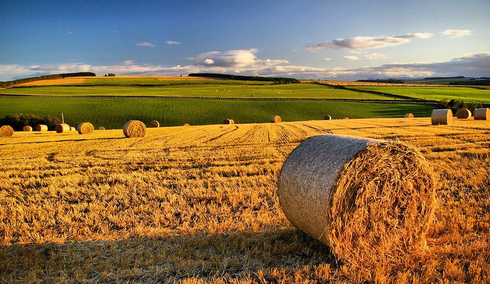 Inmobiliario Rural: Provincia permitirá diferir los aumentos en cuotas sin interés