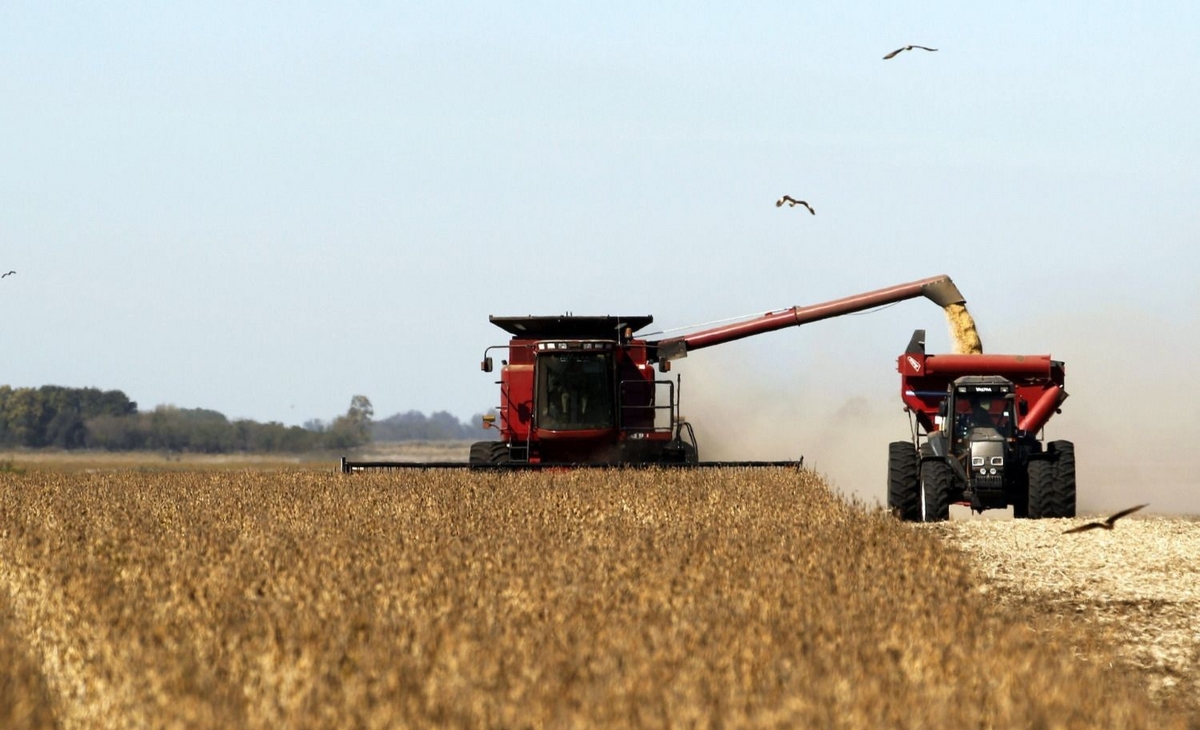 Baja de retenciones costosa para el fisco y poco para la producción