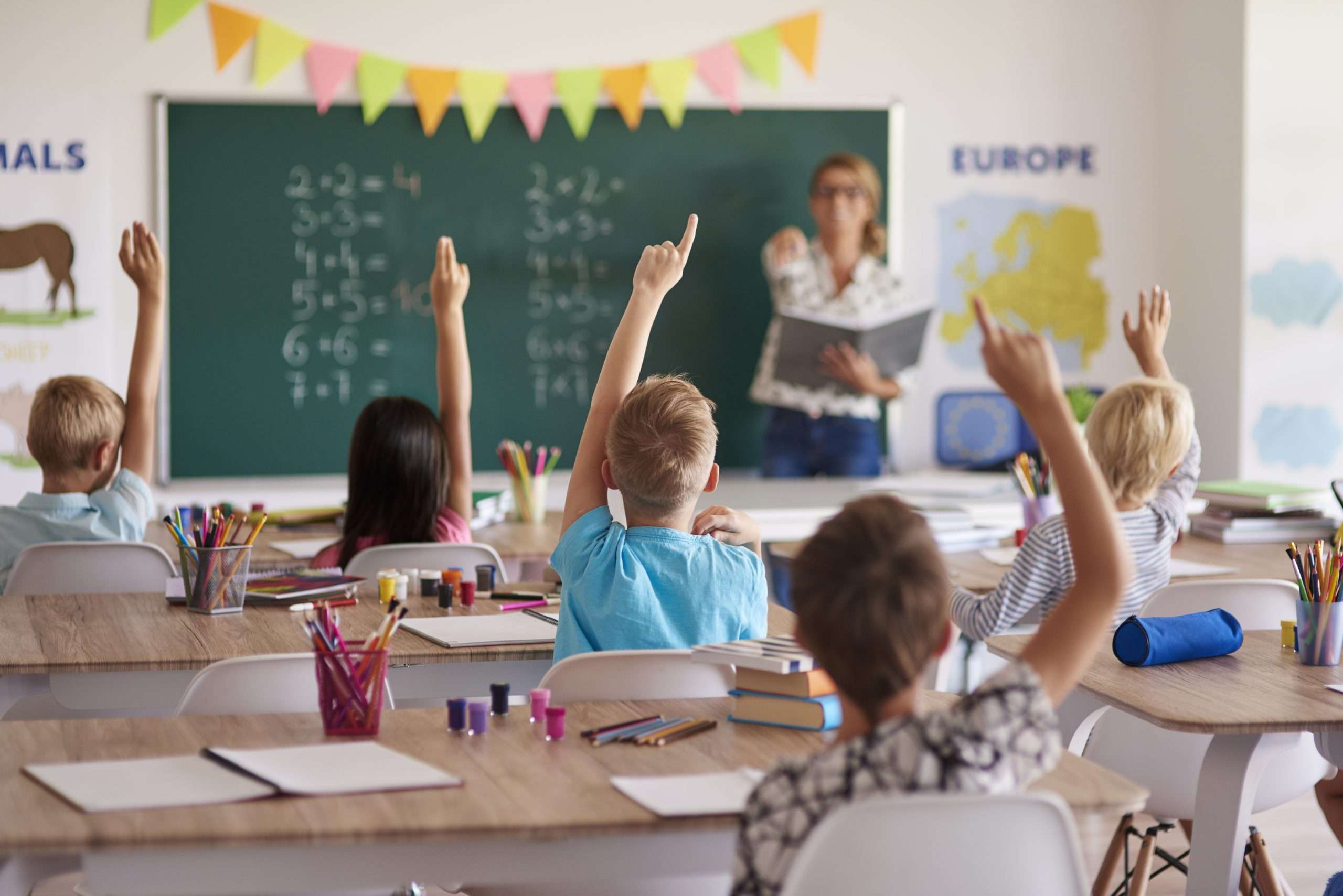 Ni el litio ni Vaca Muerta: lo que te “salva” es la educación