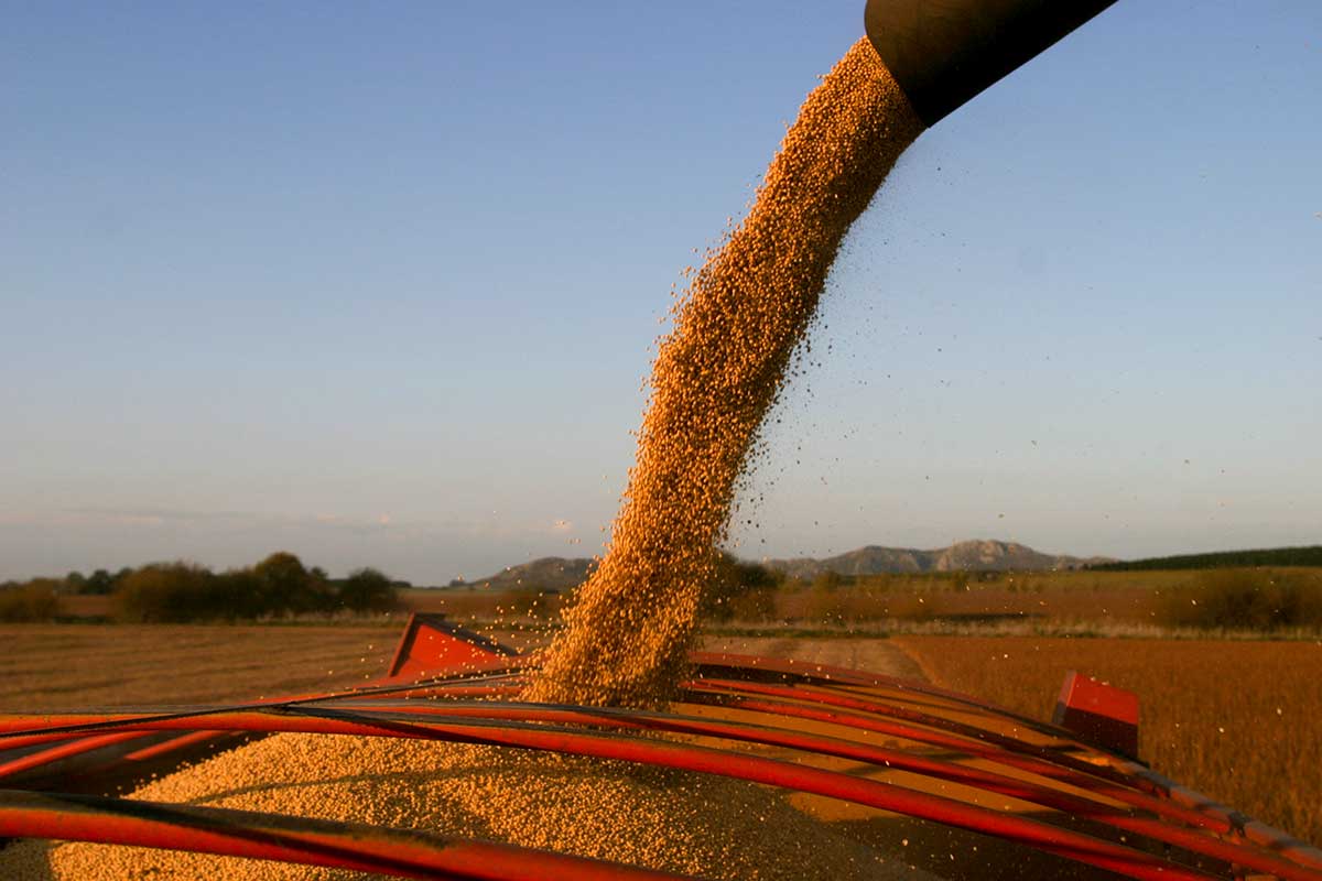 ¿Cuáles son los productos con retenciones cero hasta el 31 de octubre?