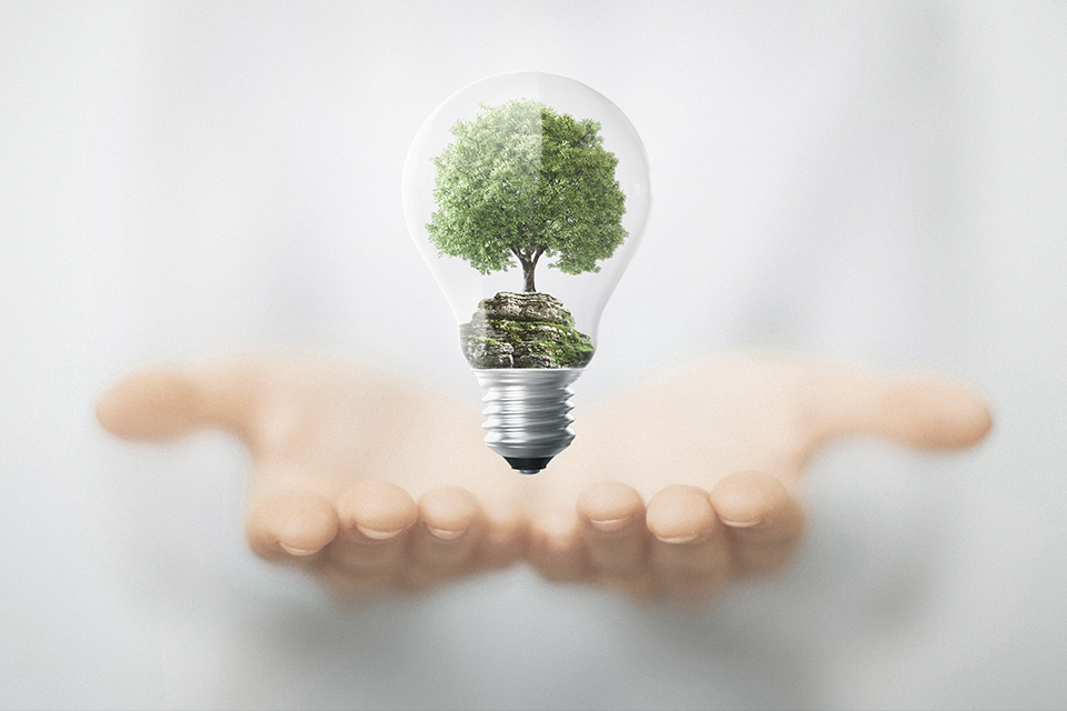 La aplicación de la Huella Ecológica