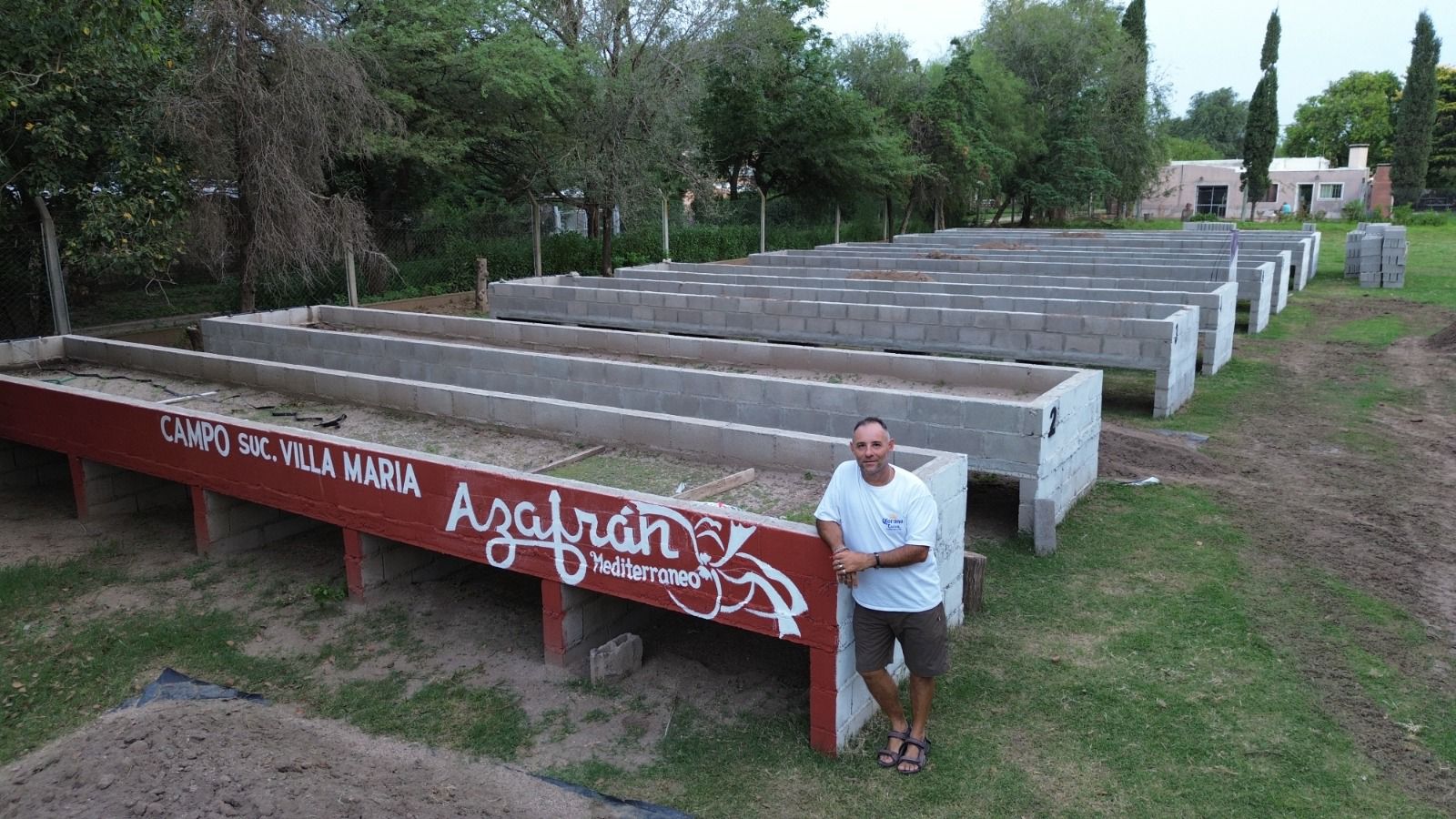 El potencial del azafrán