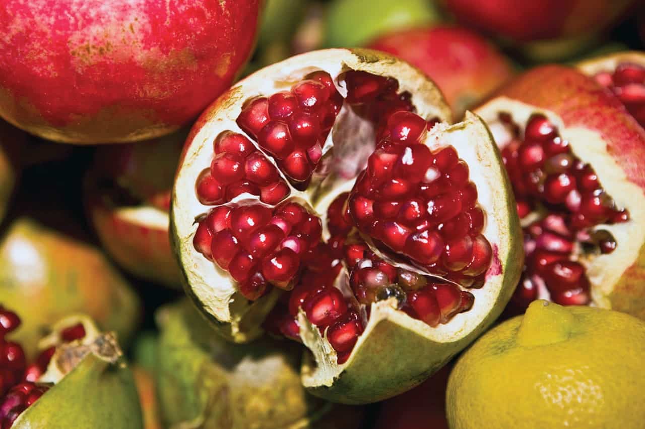 Córdoba concretó su primer embarque de granadas con destino a Rotterdam