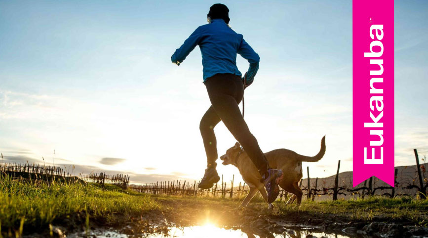 Eukanuba llega a la ciudad con su programa “Active Tour”