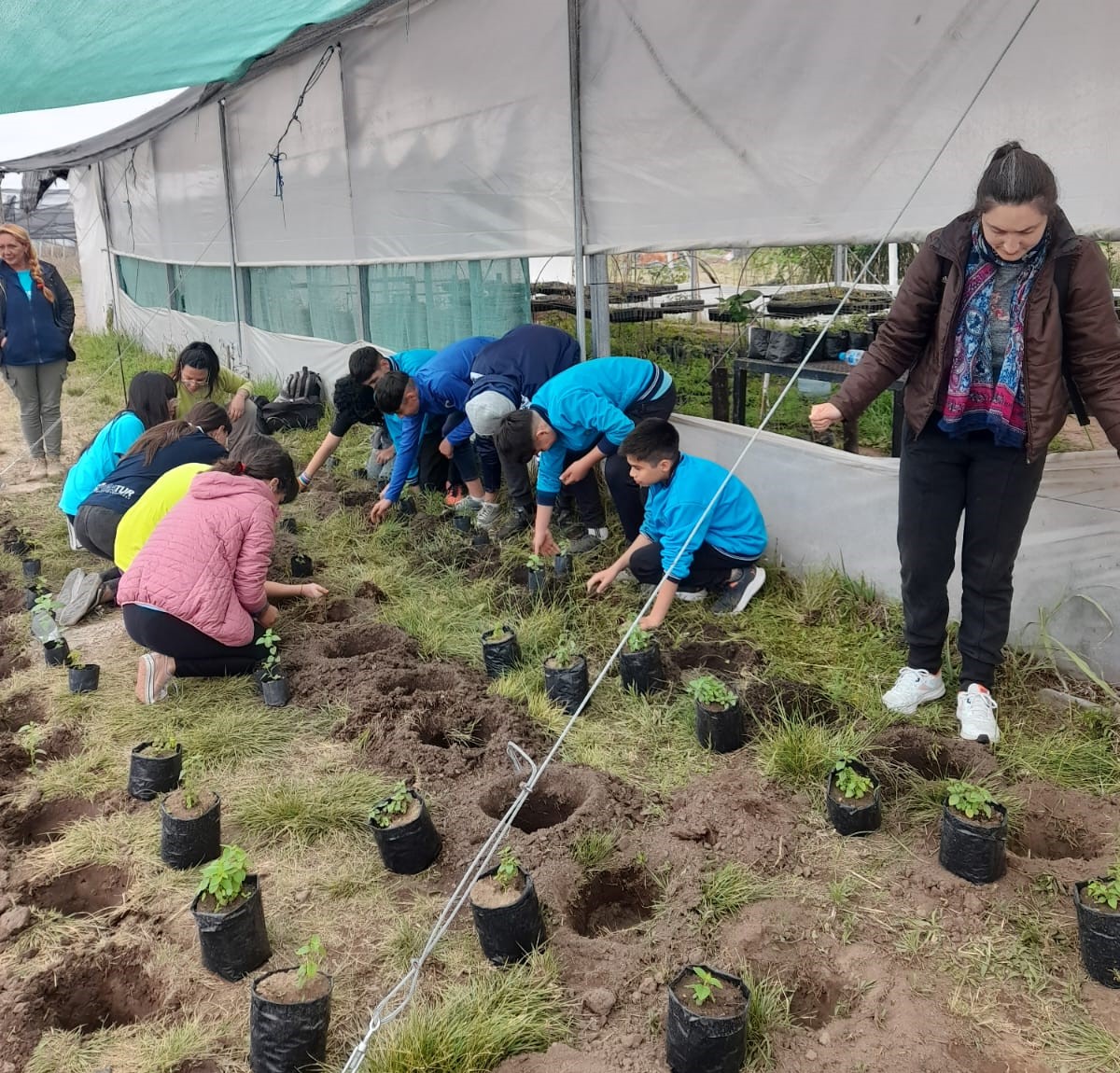 En la UNVM promueven el cultivo de la peperina