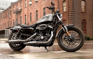 Harley Davidson relanza toda su línea de motos en la Argentina